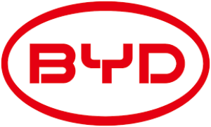 CINA, BERKSHIRE HATHAWAY ESCE DALLA BYD