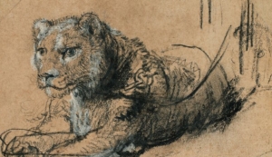 Lo stato dell'arte,  focus da 2 a 8 febbraio 2026